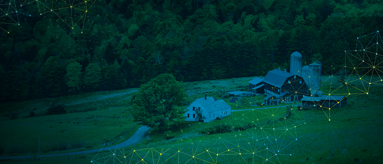 Rural Broadband Services Delivery – PON Topologies