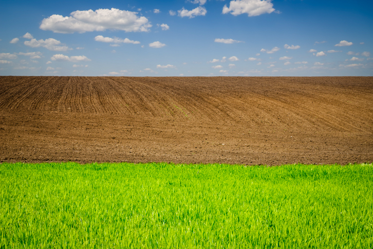 Enter the Matrix of Coherent Networks Deployment