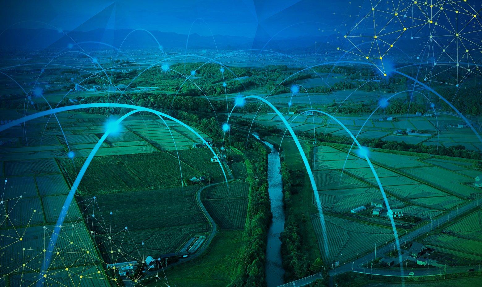 Rural fiber distribution solutions — PON technologies