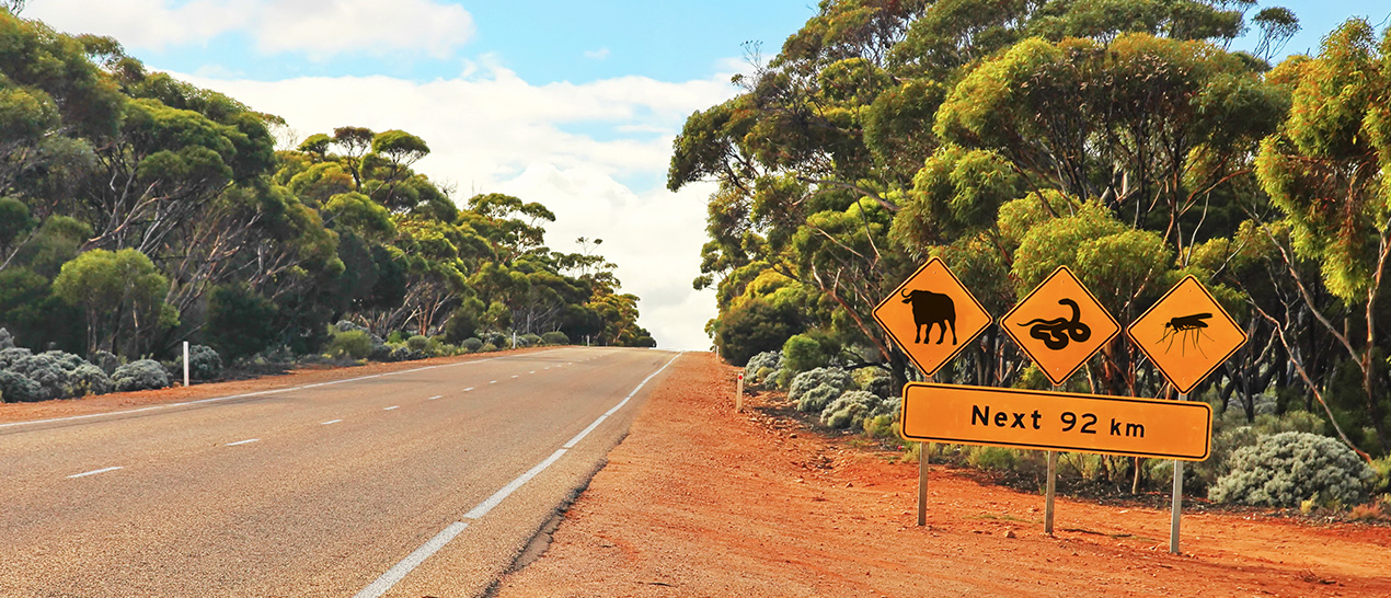 How nbn is connecting Australia