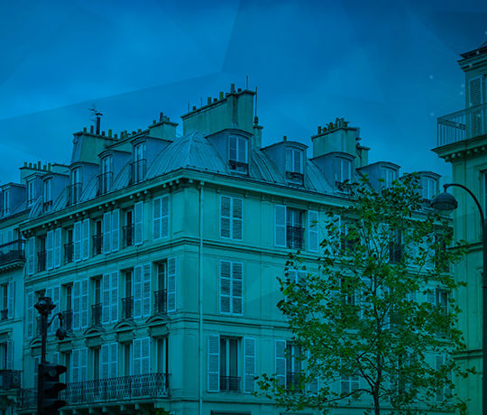 Webinaire BICSI FRANCE - Focus sur le FTTH