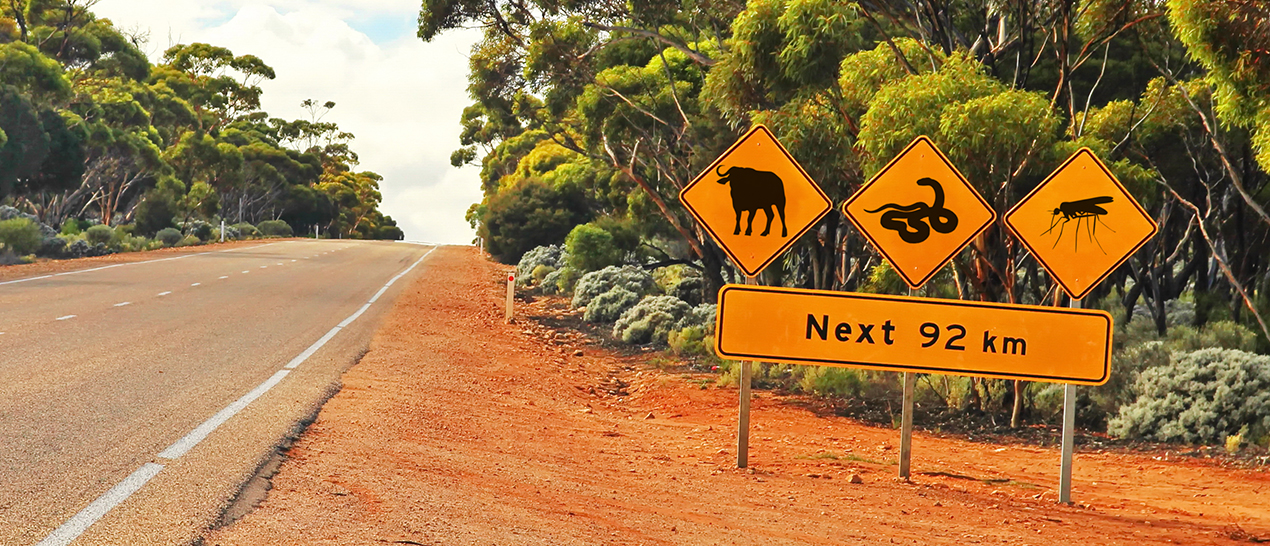 How EXFO RFTM helps a wholesale provider monitor fiber on a national scale