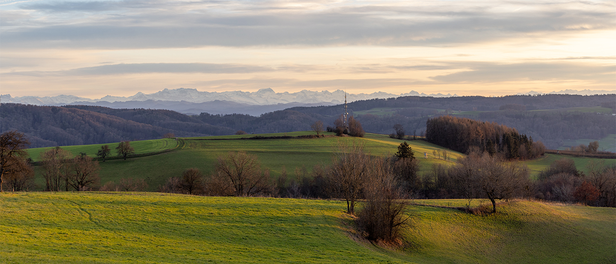 How to boost efficiency with iOLM for distributed taps