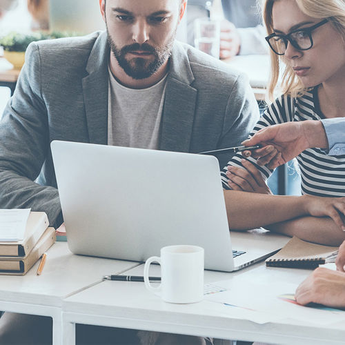 Services professionnels et de consultations